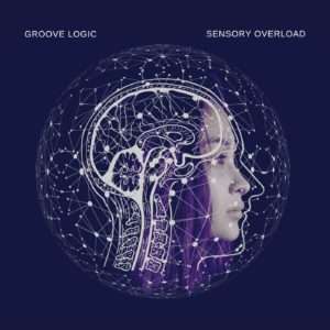 sensory overload groove logic